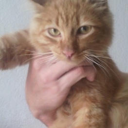 D 1a9037b5 e5cc 4c96 9d43 4d4199c01395