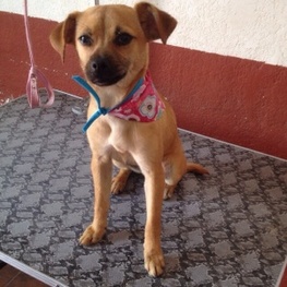 D 51cc1b83 8178 4ab8 80ce 093c9212252c