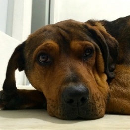 D 80f42cdc 5486 45d4 9c0a 069da955cc8c