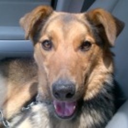 D 9af19279 9339 40d5 8191 1606767f2d94