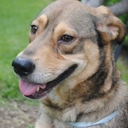 D 54fc3677 76f5 4d17 bddd 7cd25ce2b21f