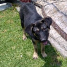 D f203ca59 b491 41d0 8812 52485fe386e2