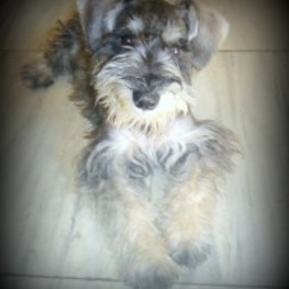 D ebd0154d a2c1 492f b27a 0cdabb1a256d