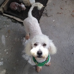 D 7c3870b5 8e22 407f a54a 9732c34fc795