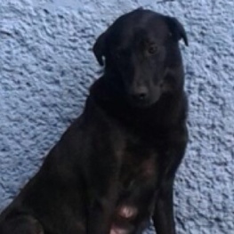 D 49880380 ad0f 40a4 b1cf ab5c129f04bf