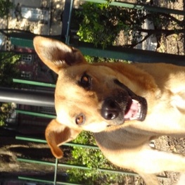 D 2a7c6b7d 6a92 492f ba45 b00a10d1c23c