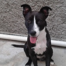 D 4296e043 bb92 4d3d 9319 211085ad9293