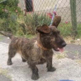 D 2d3dc7cc 4b1a 4e34 82a5 9a5a99e18097