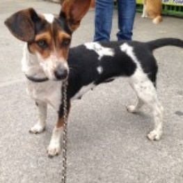 D 17da6ec4 c765 46e3 9206 8f8dbb8cafca