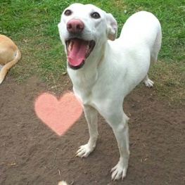 D 7a75580a 8339 4250 9d87 70a0d02fe0ce