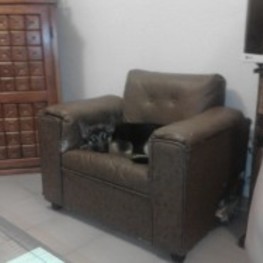 D 1fa10c9c 9cc2 427e 8dd2 eb629fc4c36f