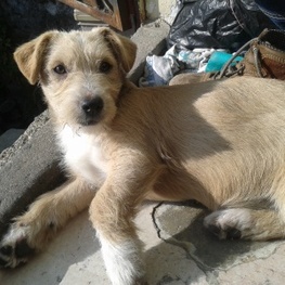 D 19f9c46b e5c0 4cb3 b76b 624186c0351e