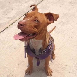 D 9752d6a5 9b10 480b 8775 ad512b1b25a1