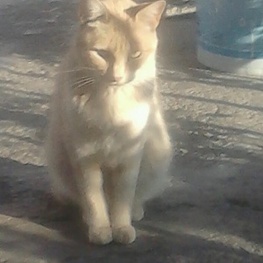 D 843c5a6d 7a18 4d16 b8df b69b5a74fd94