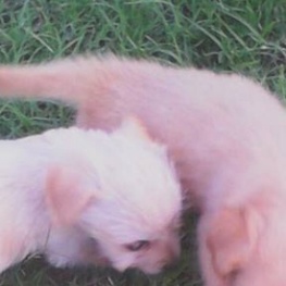 D 9d384e12 6bf2 427c b685 655536ff2f37