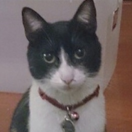 D 7b441340 7c49 4a97 8c52 bea89bb34b43