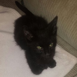 D 40502bd5 eaa9 4943 8ff7 1a3152752b05