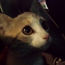 D 2d4e594f 69b4 46e3 af8f 111de18a4a5a