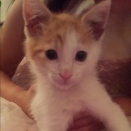 D 6cd2ecc5 3aa2 4517 834b 3ba75c8ae8eb