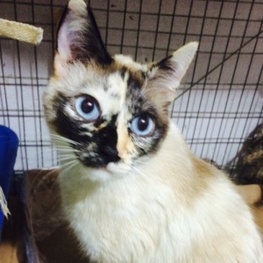 D 1549123e 06f2 41ab b881 fa084e12ff22