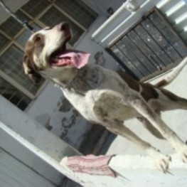 D 55f98b29 2f1f 4ff8 ab01 69c4ea1e4eb9