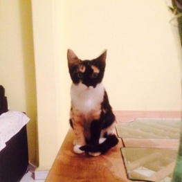 D 444b366b 7f32 4a94 8c58 03239fdaa507