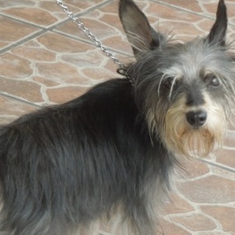 D 87c5a9a8 04b0 4821 95da 6a26a2c48352