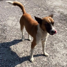 D d9fee07e 6b1a 4f86 815e 9d11572fbc8e