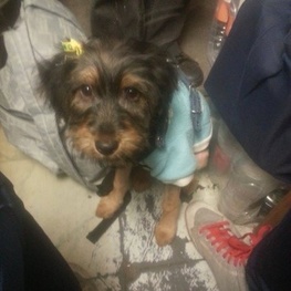 D cd877ae3 bb87 4091 80fc d15de8cf2574