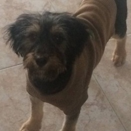 D 305311b1 cf72 42cf b87c 7139ba15a62b