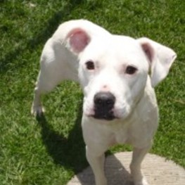 D d6419605 4d67 4944 bb7d 17a54e7f901b