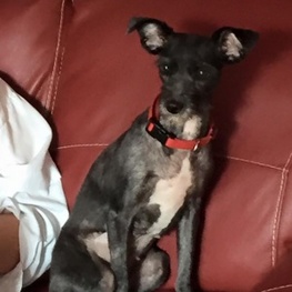 D cc5670d2 5fd6 4e3b 89e3 a1d0a32cdb19