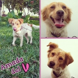 D 6e1e49b7 23ac 49b1 872b 8a08fffd7186