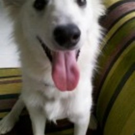 D 49a826cb 4f1f 4c41 a8f0 cac8eebfdd70