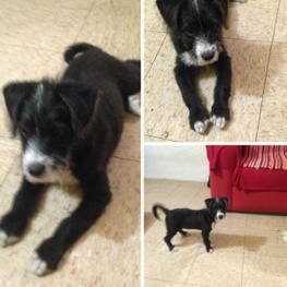 D 867598d5 94bf 47e1 9870 2825ddf98990