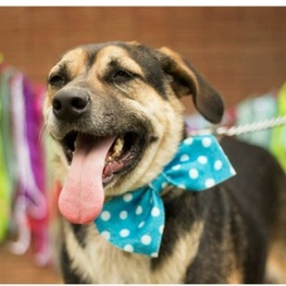 D a9c2482b a4ac 4e48 9a2d bd6cfa1af1a9