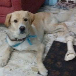 D 4969600f 46f7 45a6 8ed2 ee4db2173069