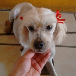 D 0f55b9f9 cfa4 4eff 924f dae8d9fdaf4b