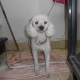 D fcae6e27 2f1d 40ad b7f9 8c9428682c9b