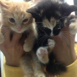 D 46be6e6e 86e5 49e8 af5b 7adb967c9f35