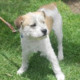 D e94e4b9c 0258 41e3 9063 3e31a2ee8e7b