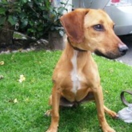 D e4789dab f44e 4dcd b774 5490357672e4