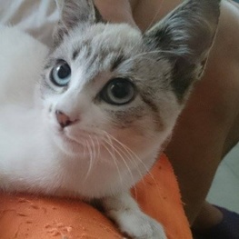 D 006ed9a1 1ee0 406a a16b ec74b68747a0