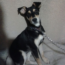 D 769b5be5 c6fb 42d9 989c 55fcda15b25c