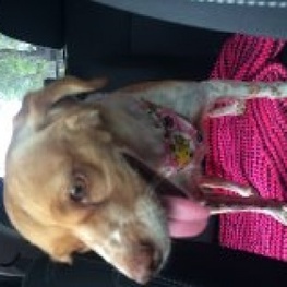 D 1015f917 4adb 4439 b72c 005c3b476ea8