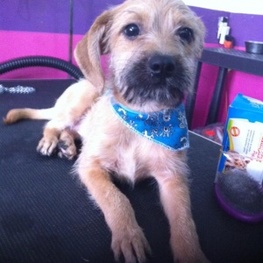 D 30292992 976e 4863 b320 d71e76f2353d