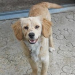 D ea0fe0fc 348f 4eb8 a4ea aa187de5105d