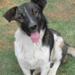 D 2fd4e43c 064a 4430 a083 a151ab4a3e85