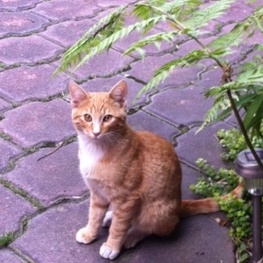 D 419ef81e d8ed 41e5 960e 58092d5bd9eb