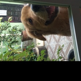 D 1d5ad50e d7db 4cea 930b 8753bc098f47